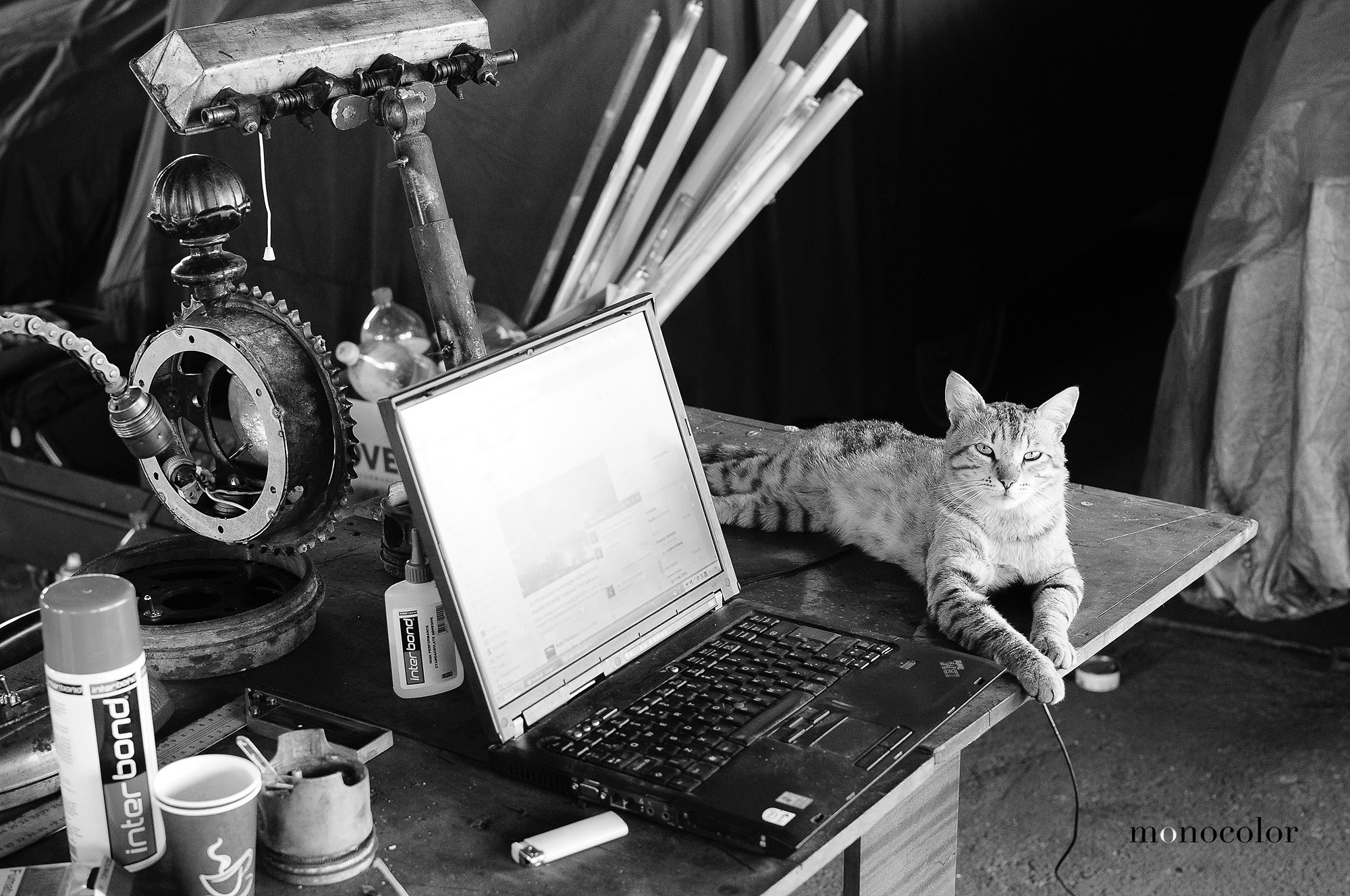 _bw18359